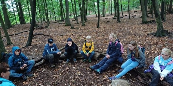 Teilnehmende sitzen im Kreis im Wald