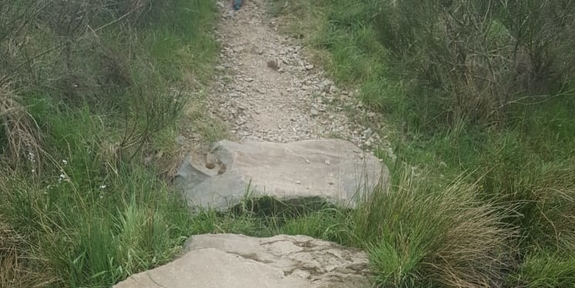 Weg gelegt aus Steinen